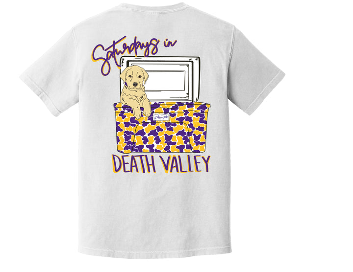 Football Pup (purple/gold)